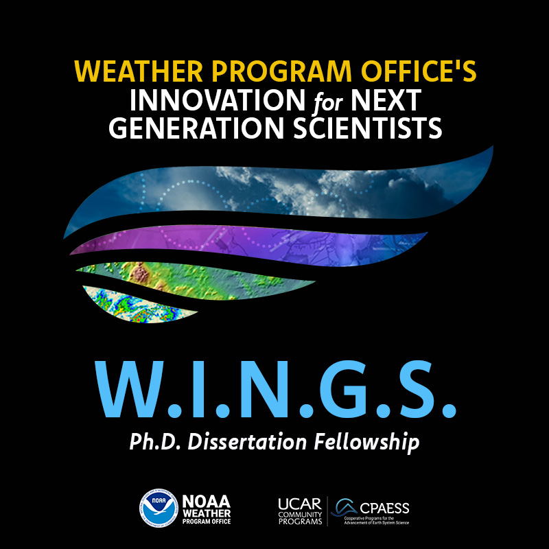 WINGS Dissertation Fellowship graphic