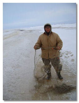 Man using set net for harvesting fish through ice