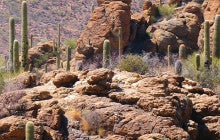 dry desert landscape