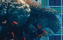 blue and green plaid