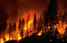 picture of wildfire