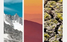 collage of 3 images: a mountain, a sunset and moss