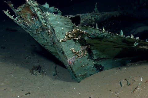 19th century shipwreck