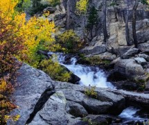 mountain stream surrounded by fall leaves and rocks