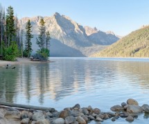 Lake in Idaho with pine trees