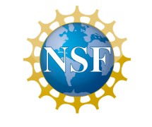 NSF logo on white background