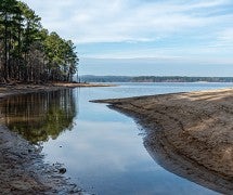 Drought conditions in river