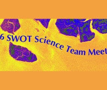 orange graphic with purple splotches