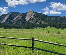 a grassy field with mountains in the background