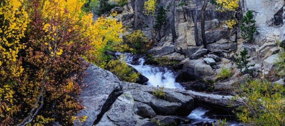 mountain stream surrounded by fall leaves and rocks