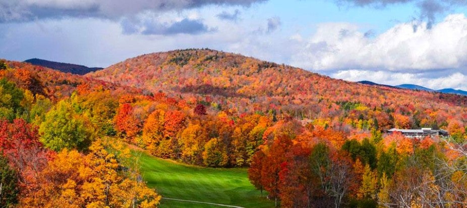 rolling hills with trees and fall colors