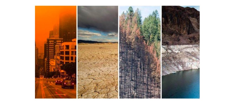 Four images including fire, storm cloud, pine trees, low water