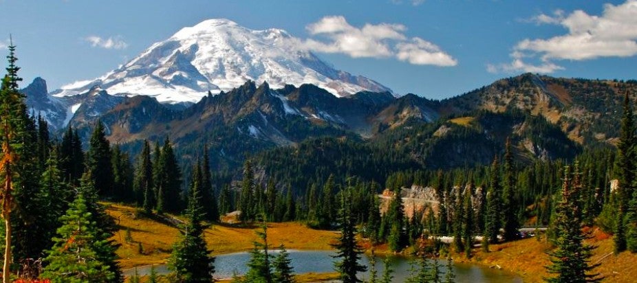 pine trees and a lake with snow-capped mountain in the background