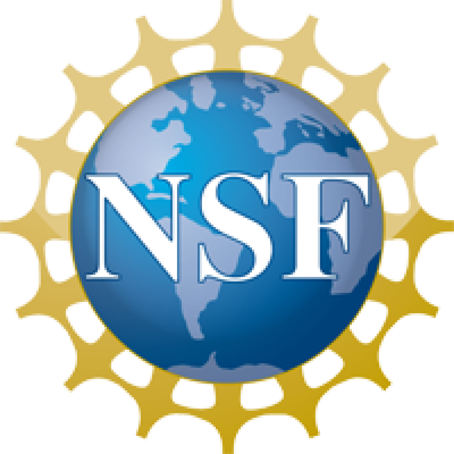 NFS logo