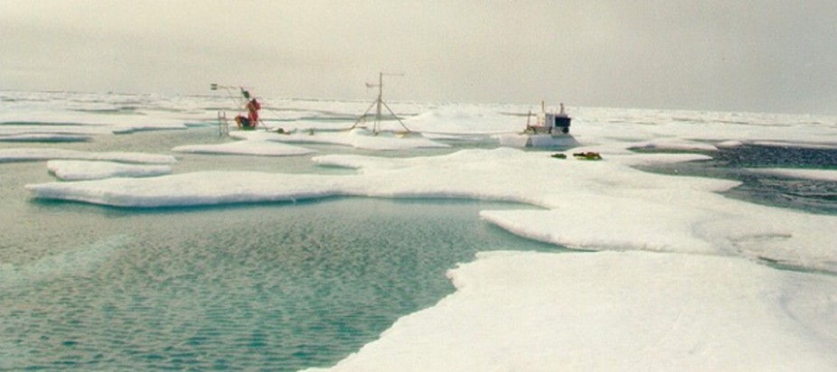 ice fields on ocean water