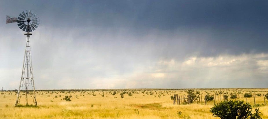 yellow field with grey storm clouds 