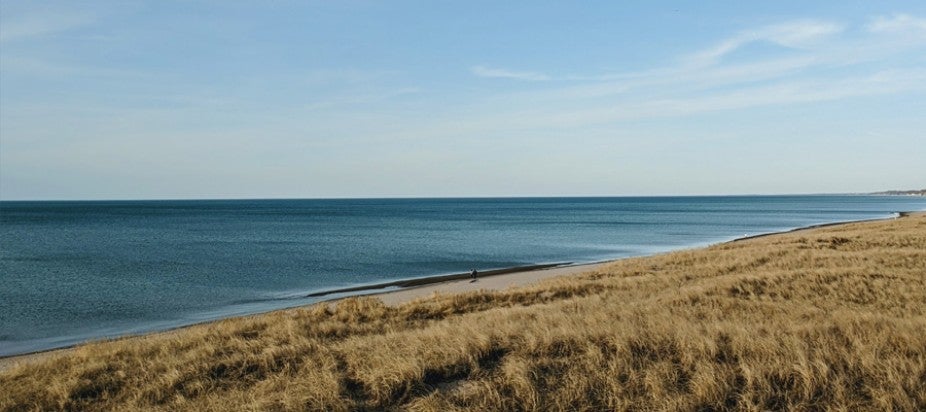 great lake with grassy coast