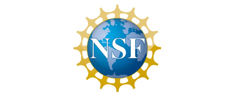 NSF logo on white background