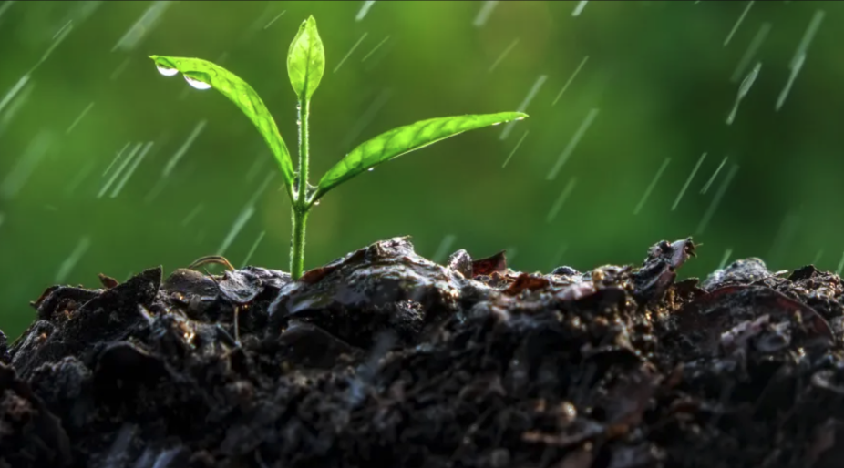 National Soil Moisture banner