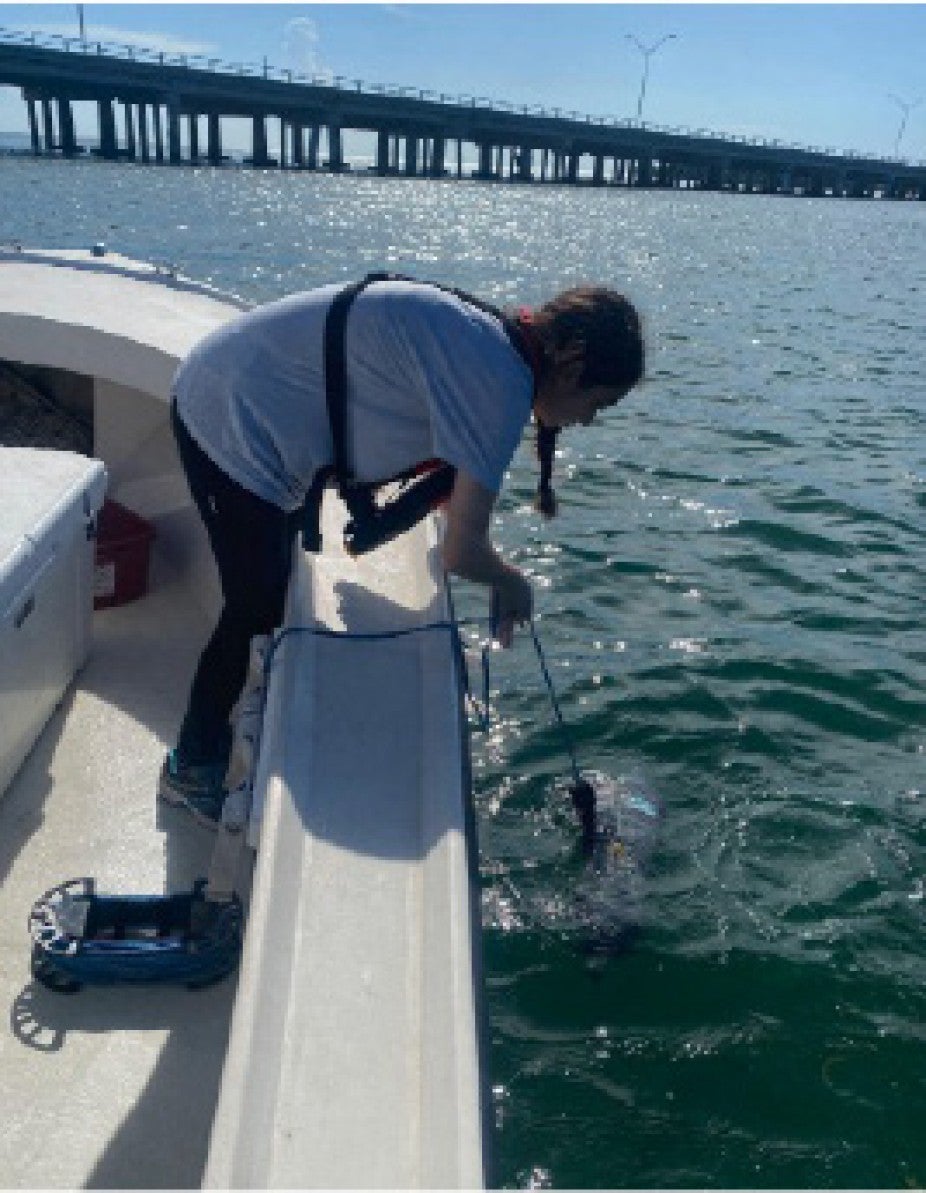 person on edge of boat in ocean taking samples