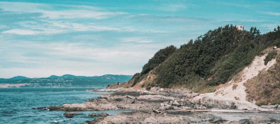 brown rocky shores near body of water in daytime