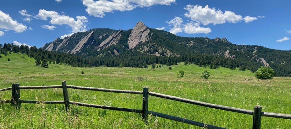 a grassy field with mountains in the background