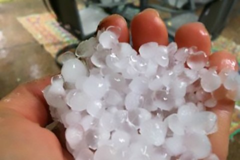 Hail in a hand