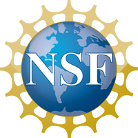 NFS logo