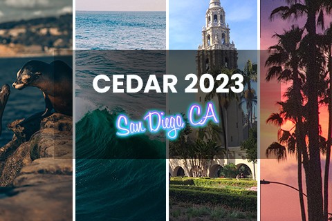 collage of 4 images of San Diego, seals, beach, waves and city