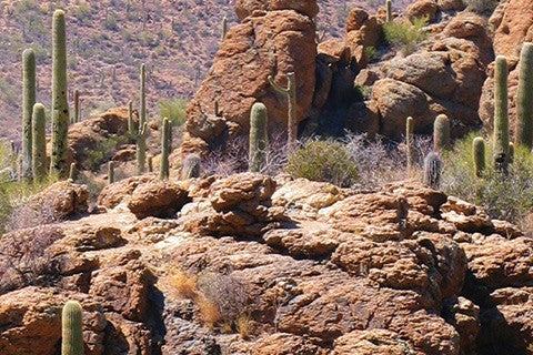 dry desert landscape