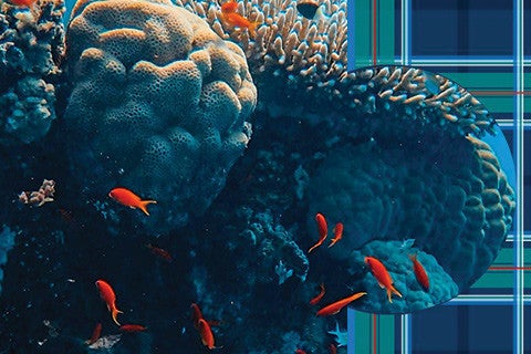 blue and green plaid