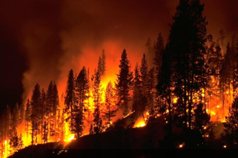 picture of wildfire