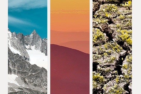 collage of 3 images: a mountain, a sunset and moss