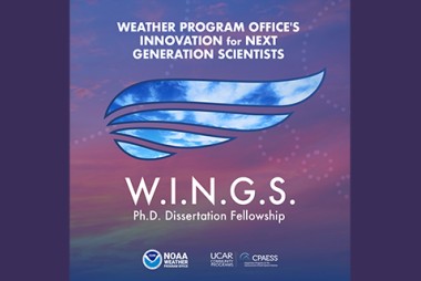 Image of WINGS logo