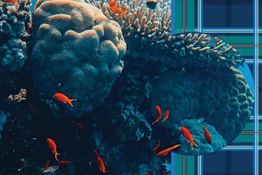 blue and green plaid