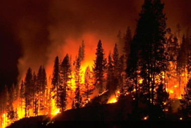 picture of wildfire